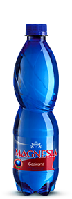 Magnesia gazirana 0.5L